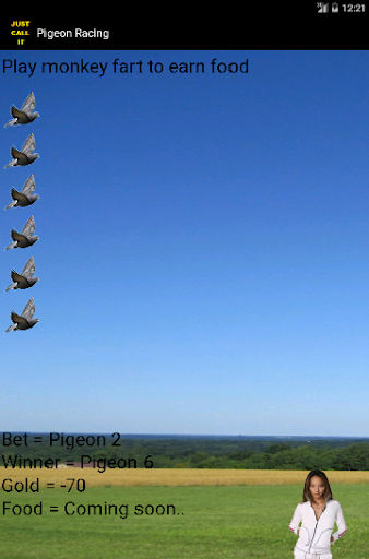 Pigeon Racing