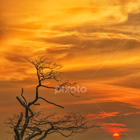 Last Light by KIN WAH WONG - Landscapes Sunsets & Sunrises