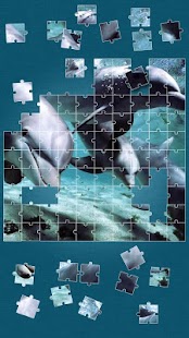 How to install Dolphins Jigsaw Puzzle patch 3.0 apk for android