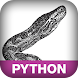 Programming Python, 4E