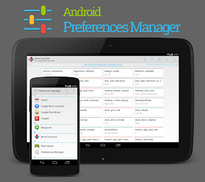 Preferences Manager poster 15