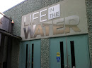 Life In The Water