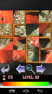 Free Puzzle Fish for children APK