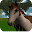 VR Horse Download on Windows