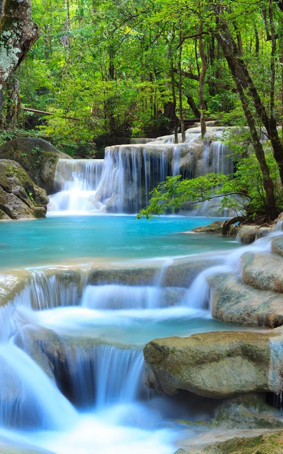 Waterfall  rouse Wallpaper - Android Apps  in the region of Google Play