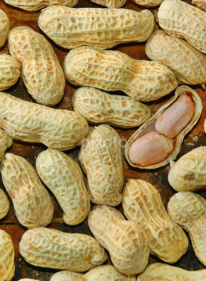 KACANGKU by Hendra Hermawan - Food & Drink Eating