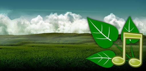 Forest Sounds Nature To Sleep -  apk apps