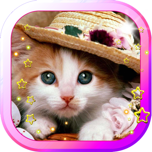 Lovely Kittens live wallpaper LOGO-APP點子