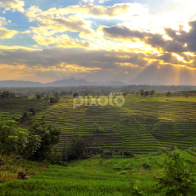  Karamabura Kiri by Erwan Setyawan - Landscapes Prairies, Meadows & Fields