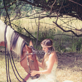 by Mindee Green - Animals Horses