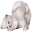 Cat Wallpapers Download on Windows