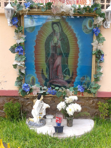 Virgen En Calle Del Árbol