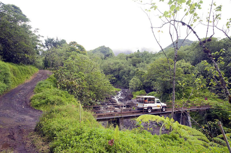 Climb into a four-wheel-drive safari vehicle while visiting Tahiti for an adventure into the island's interior.