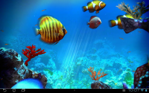 免費下載個人化APP|Tropical Ocean 3D LWP app開箱文|APP開箱王