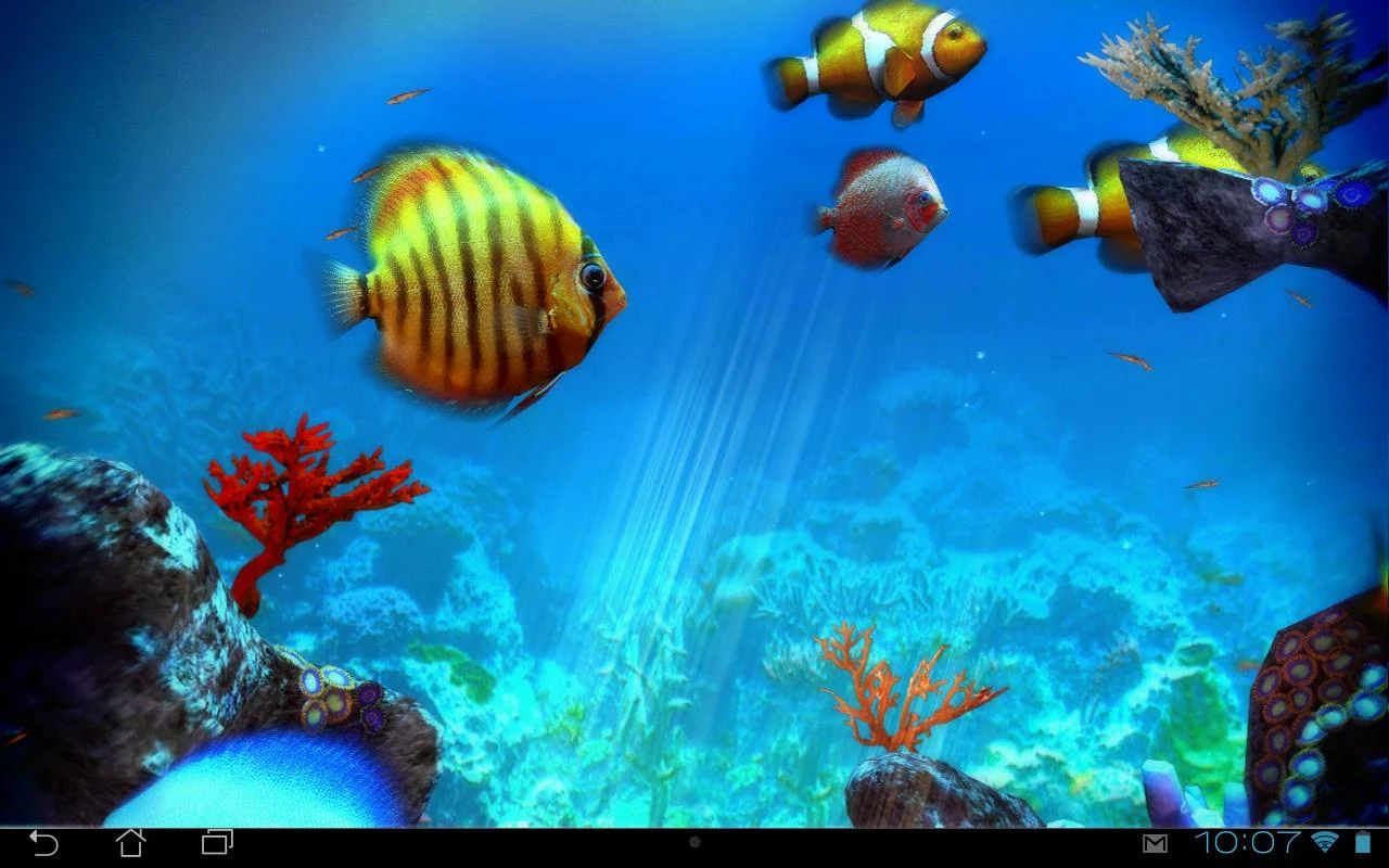 Tropical Ocean 3D LWP