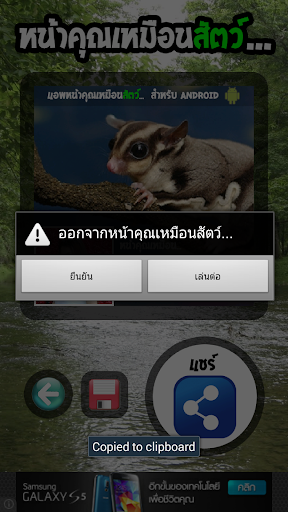 【免費娛樂App】หน้าคุณเหมือนสัตว์...-APP點子