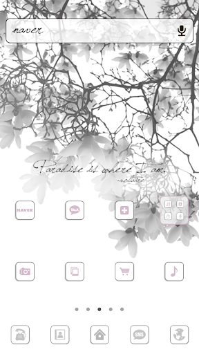 Paradise dodol launchet theme