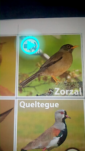 Free Download Aves de Chile AR APK