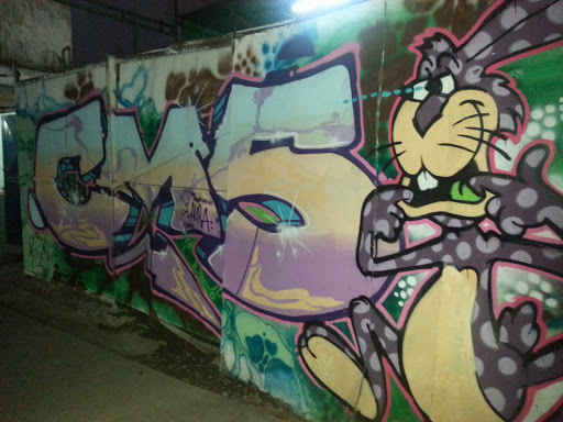 Grafiti Conejo CMS