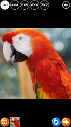 Tile Puzzle: Birds poster 12