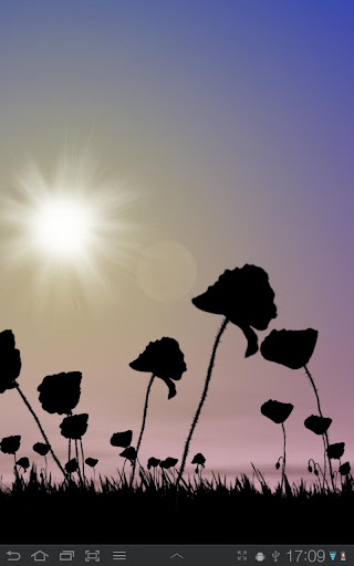 Poppy Field Live Wallpaper APK v2.10