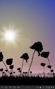 How to download Poppy Field Live Wallpaper 3.08 unlimited apk for pc