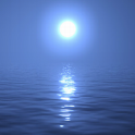 Night Sea logo