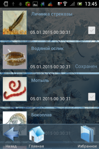 Безнасадочные мормышки Screen 3