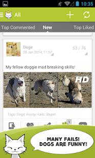 Cute Animals Photos Wallpapers Screenshots 14