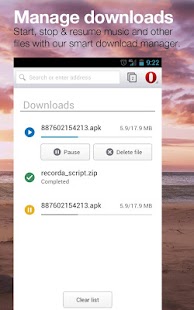 Opera browser beta - screenshot thumbnail