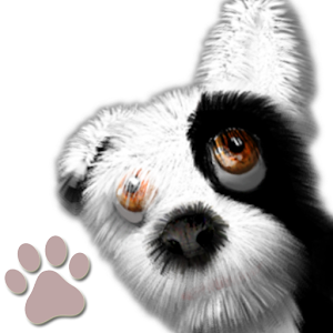 Oh My Dog – Virtual Pet for PC and MAC
