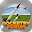 Rocketry Forum Download on Windows
