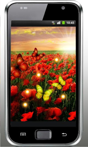 免費下載個人化APP|Poppy Flower HD live wallpaper app開箱文|APP開箱王