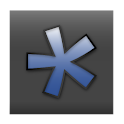 Risk* logo