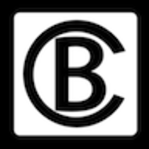 Driver Black Car 1.1