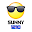 SUNNY 1210 Download on Windows