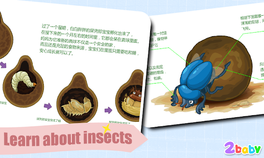 Dung Beetle - Insect World Screenshots 8