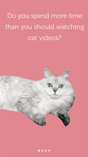 Cataday - Daily Cat videos