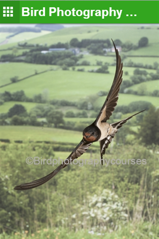 Bird Photography Courses