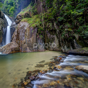 ' Life ' by Najmi Rooslan - Landscapes Forests
