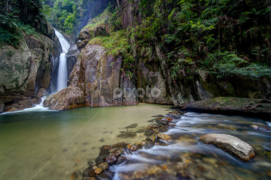 ' Life ' by Najmi Rooslan - Landscapes Forests