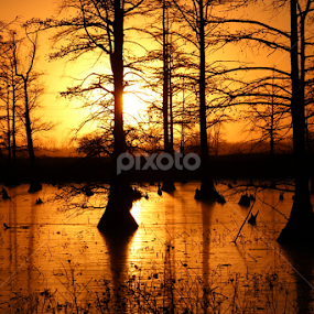 Evening Bliss  by Karin Pelton - Landscapes Sunsets & Sunrises