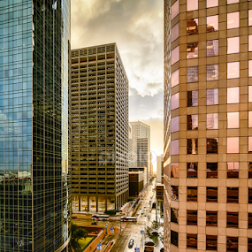 Golden Sunrise on Lamar by Dee Zunker - City,  Street & Park Street Scenes