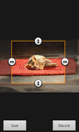 Epshot Wallpaper poster 7