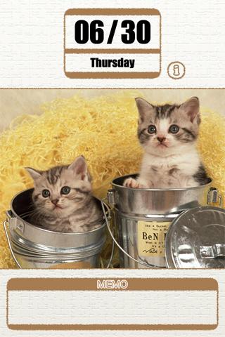 Daily Calender Healing Cat Screen 2