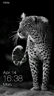 Leopard Live Locker Theme