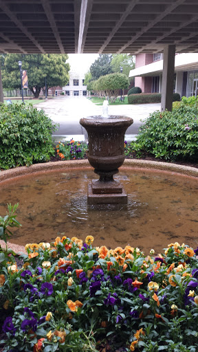 Fountain at Mercer College of Pharmacy 