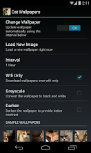 Cat HD Wallpapers APK Download for Android