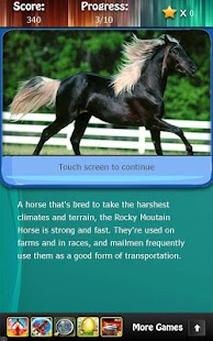 Horse Breeds & Pony Quiz HD Screenshots 7