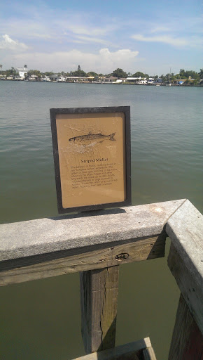IRB Striped Mullet Placard